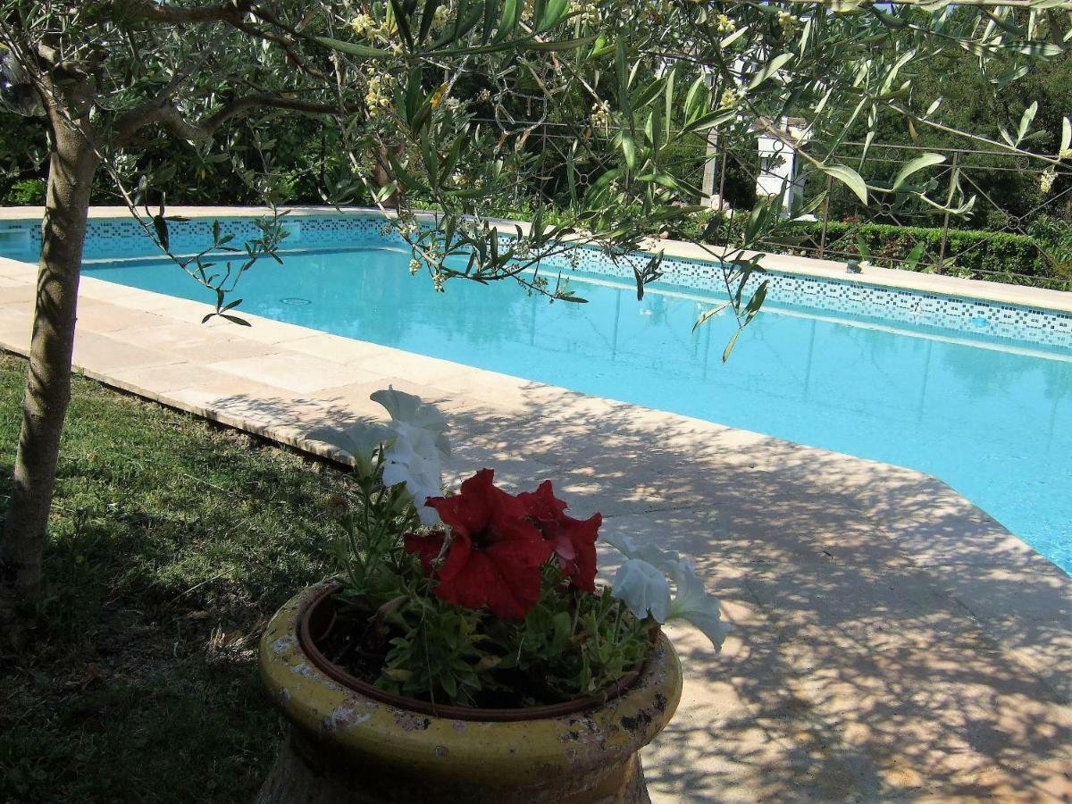 Au Vallon Rouge Saint-Paul-de-Vence Exteriör bild